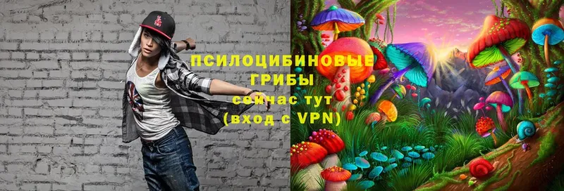 Псилоцибиновые грибы MAGIC MUSHROOMS  Александров 